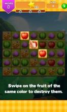 Gems Fruit 2018截图3