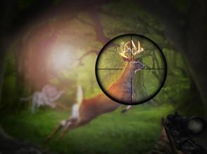 Classic Deer hunting: Sniper Shootout 2018截图3