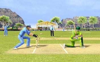 Real T20 Cricket Games 3D 2018截图2