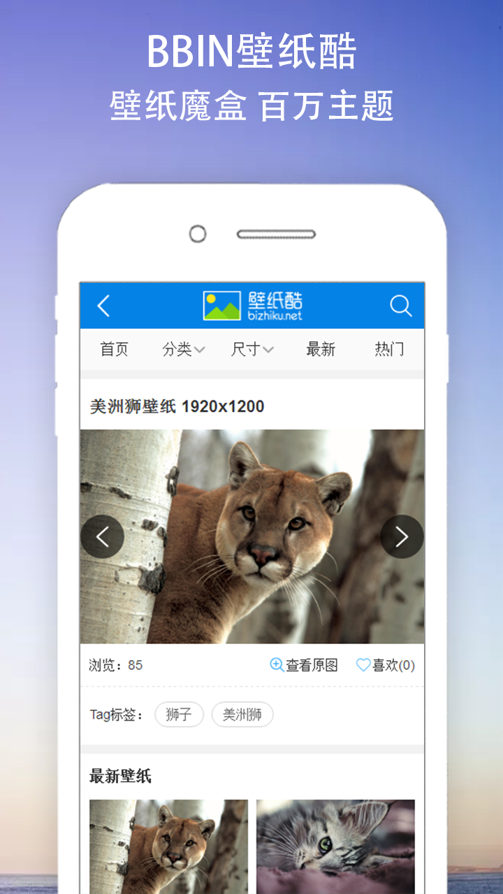 BBIN壁纸酷截图2