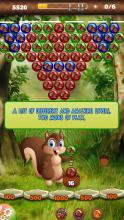 Squirrel and Acorn - POP Bubble Shooter截图2