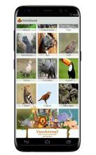 Animal Sounds截图1