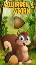 Squirrel and Acorn - POP Bubble Shooter截图1