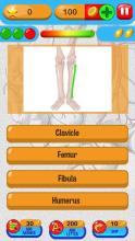 Anatomy Quiz Free Science Game截图4