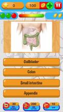 Anatomy Quiz Free Science Game截图2