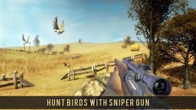 Wild Bird Sniper Hunting截图1