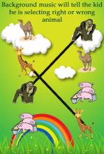 Animals game for kids截图4