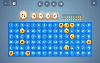 Bingo Set截图5