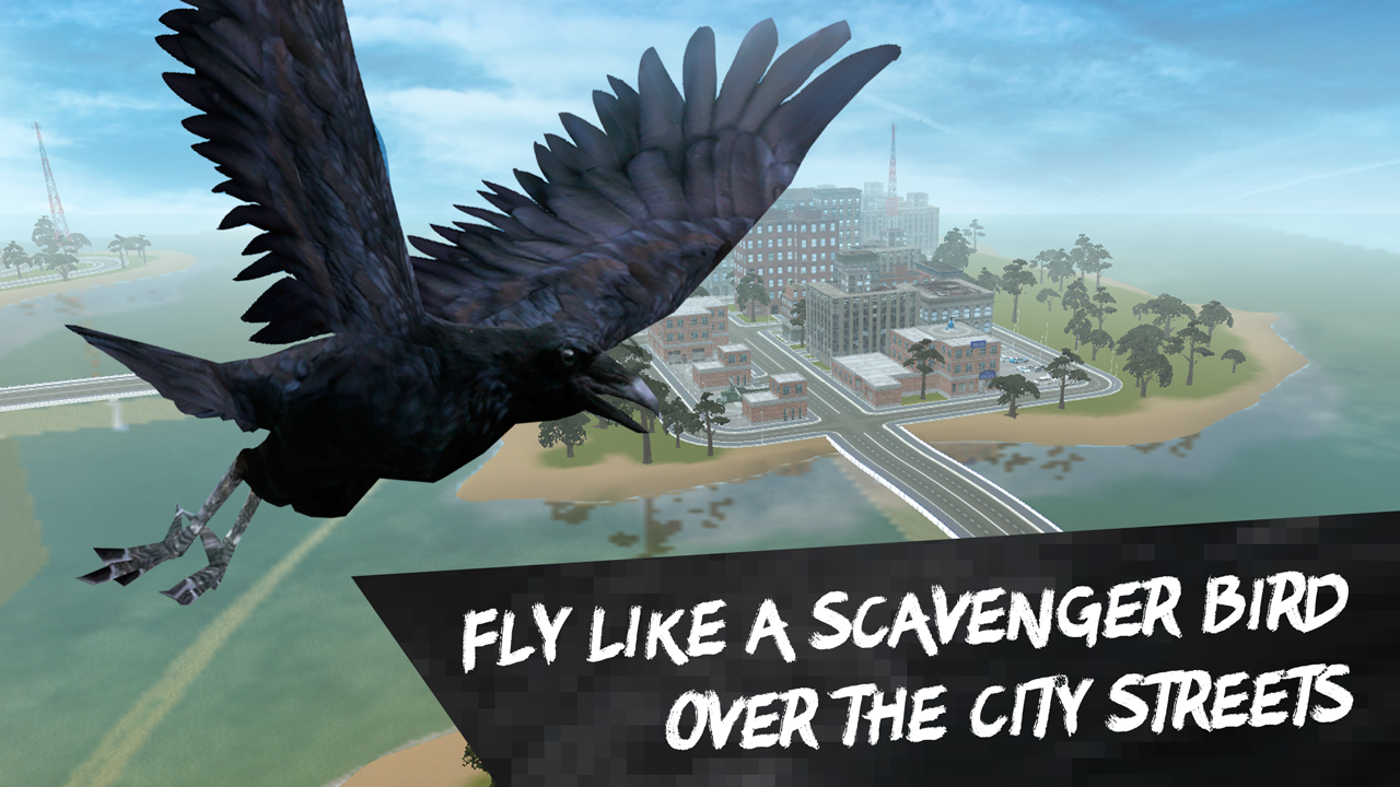 City Bird Crow Simulator 3D截图1