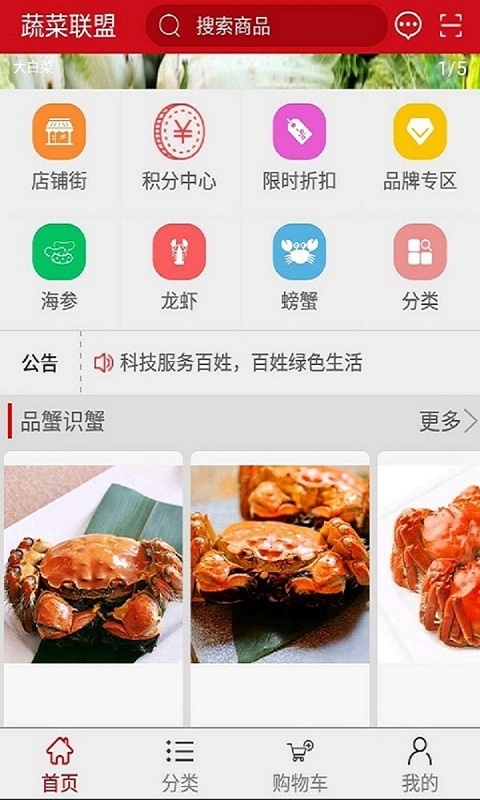 蔬菜联盟截图1