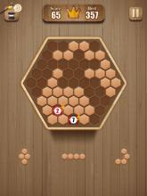 Fill Wooden Block截图2