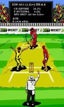 Hit Wicket Cricket 2017 - World Cup League Game截图3