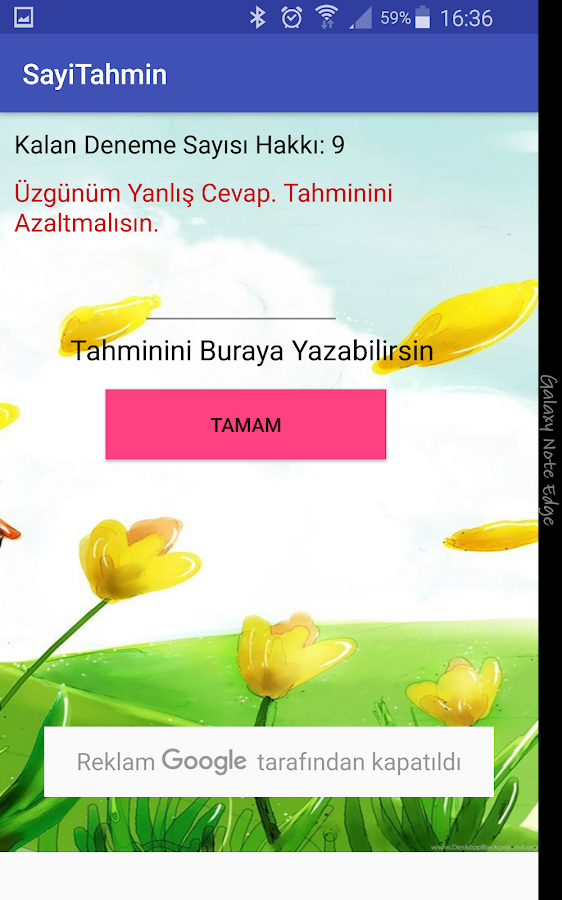 Sayı Tahmin Oyunu截图2