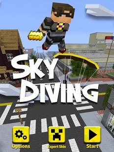 跳伞运动员 SkyDive截图1