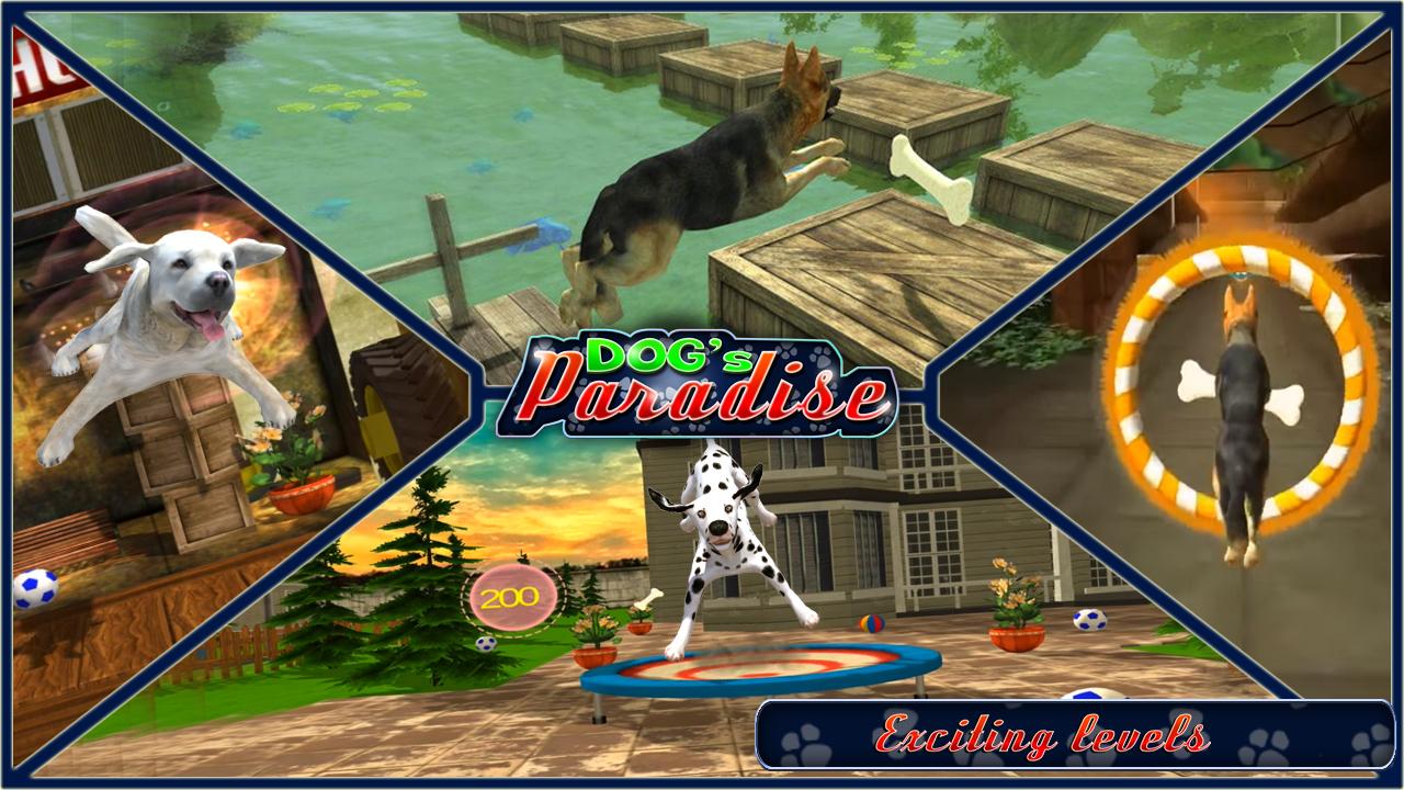 DOGS PARADISE : DOG GAMES截图1