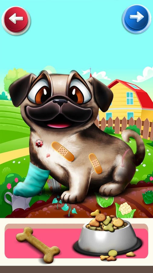 Pet Vet Care截图2