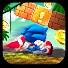 Super Hedgehog Boom Run Jungle Dash Adventure截图1