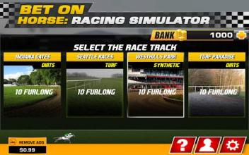 Bet on Horse: Racing Simulator截图1