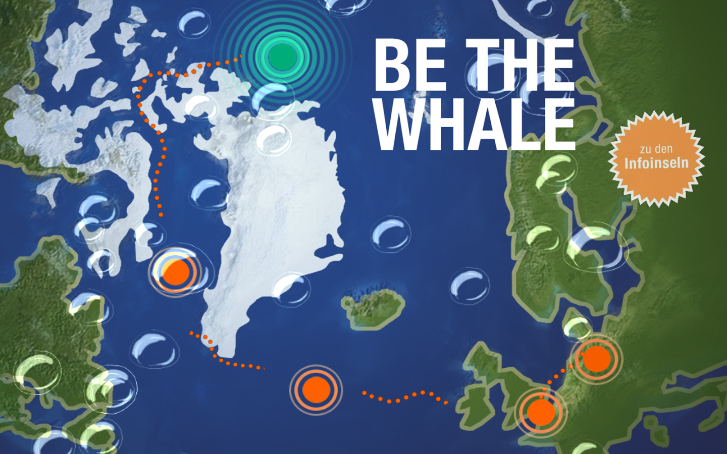 Be the Whale Beluga截图5