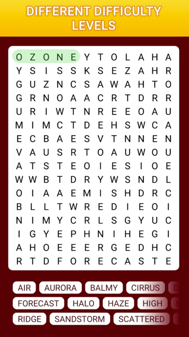 Find Words Puzzles截图4