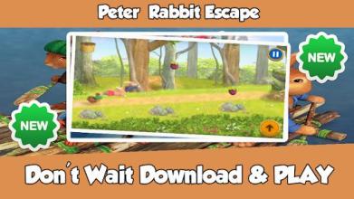 Peter Rabbit Escape截图1