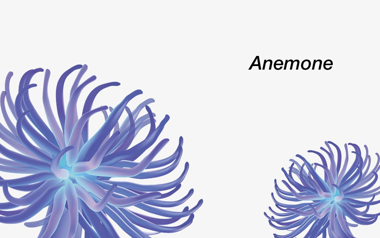 Anemone Reality截图1