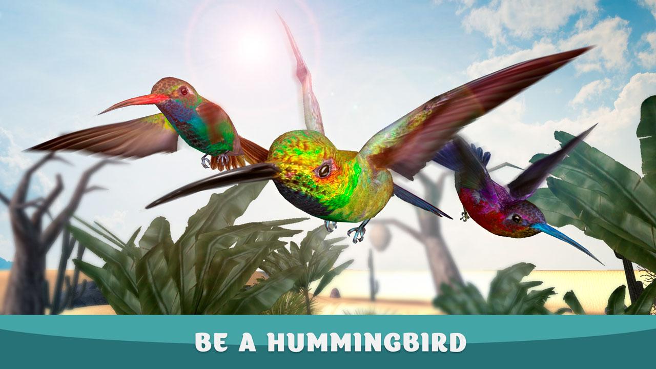 Humming Bird Simulator - Tiny Bird Adventure截图4