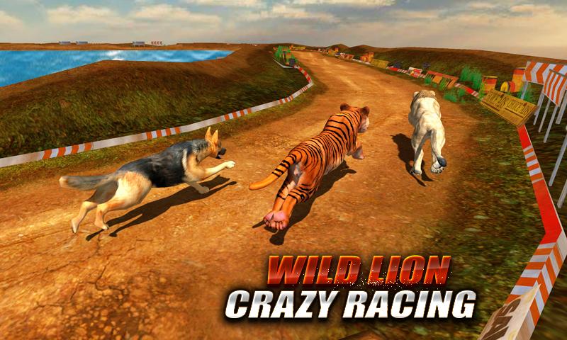 Wild Lion Crazy Racing Fever: Wild Animals Racing截图3