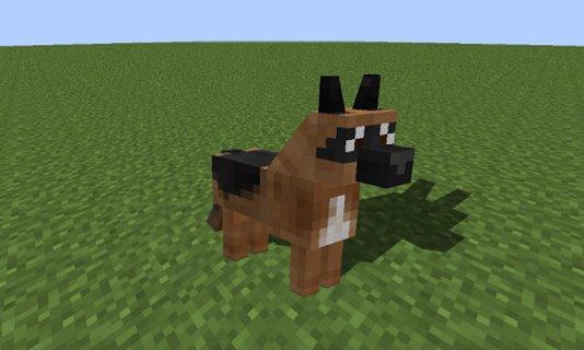 Dog Mod for MCPE截图3