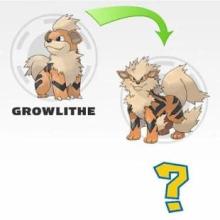 Quiz Poke Evolution截图2