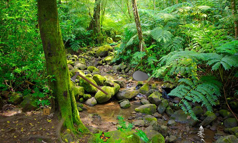 Tropical Woods Escape截图3