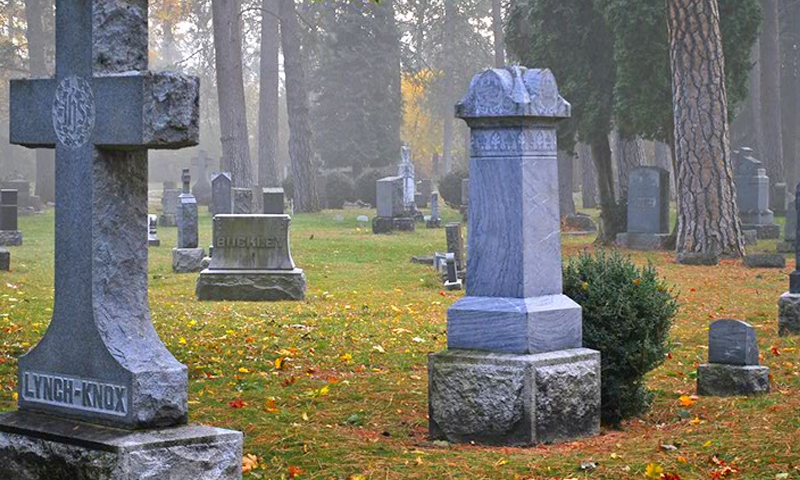 Creepy Cementery Escape截图4