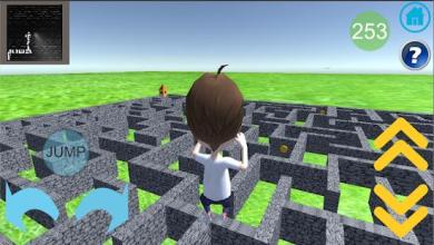 Maze HW 3D Vol2截图2