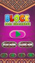 Block Ball Challenge截图3