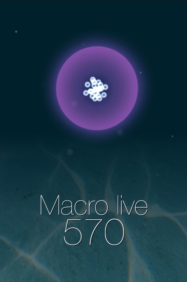 Macro live截图1