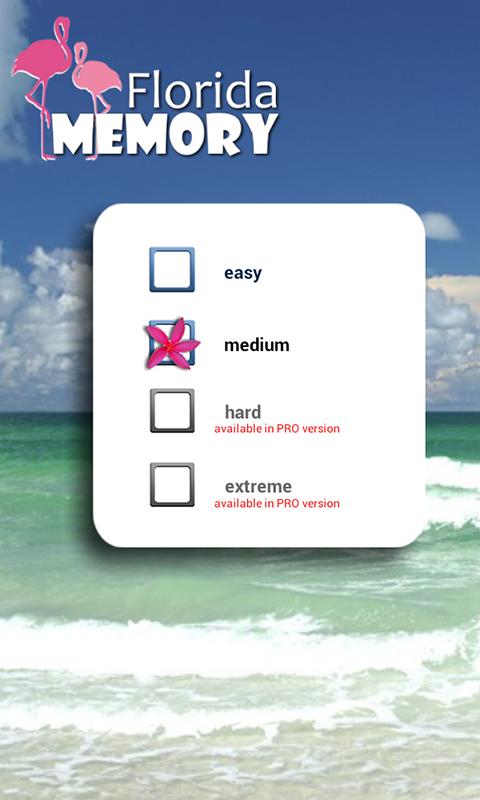 佛罗里达记忆游戏截图3