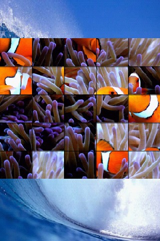 海洋生命拼图 Ocean Life Puzzle截图4