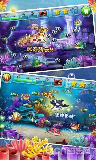 大鱼吃小鱼2截图3