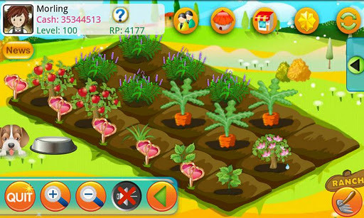 木瓜农场(Papaya Farm HD)截图4