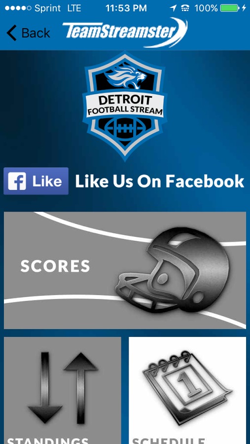 Detroit Football STREAM截图2