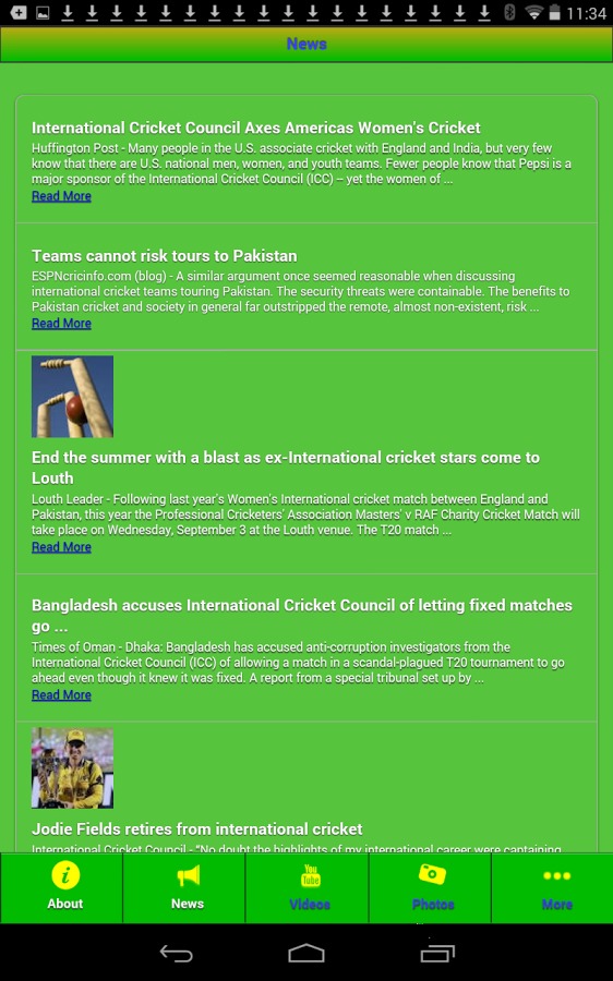 International Cricket截图3