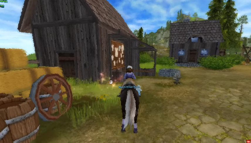 Guide For Star Stable Run截图5