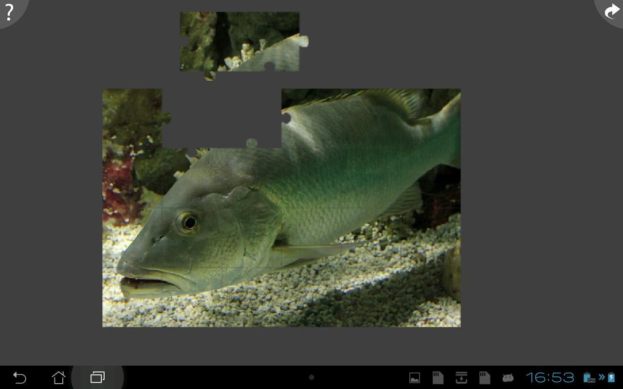 Fishing Jigsaw Puzzle截图4