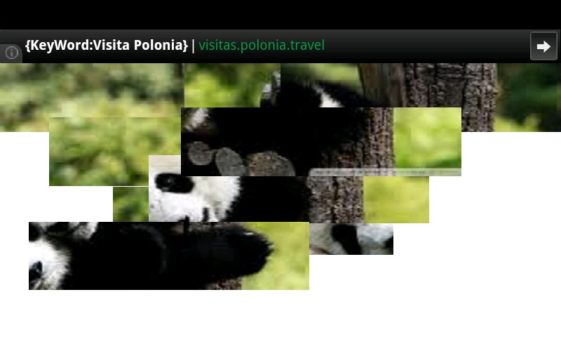 Wild Animal Puzzles截图2