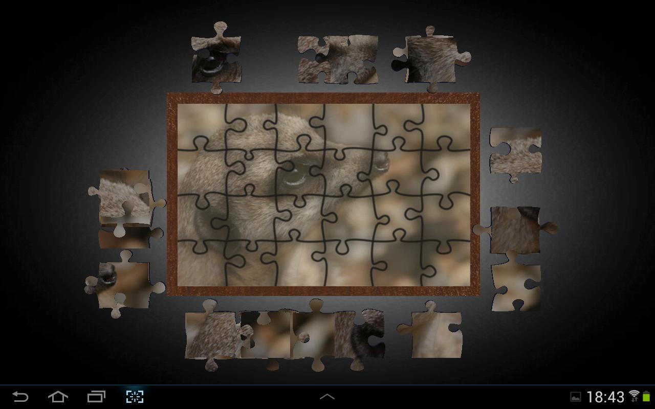 The Original Puzzle Time截图2