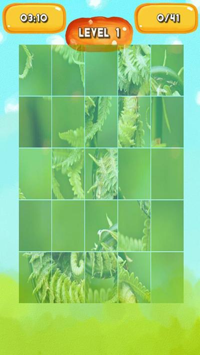 Fern Jigsaw Puzzle截图5