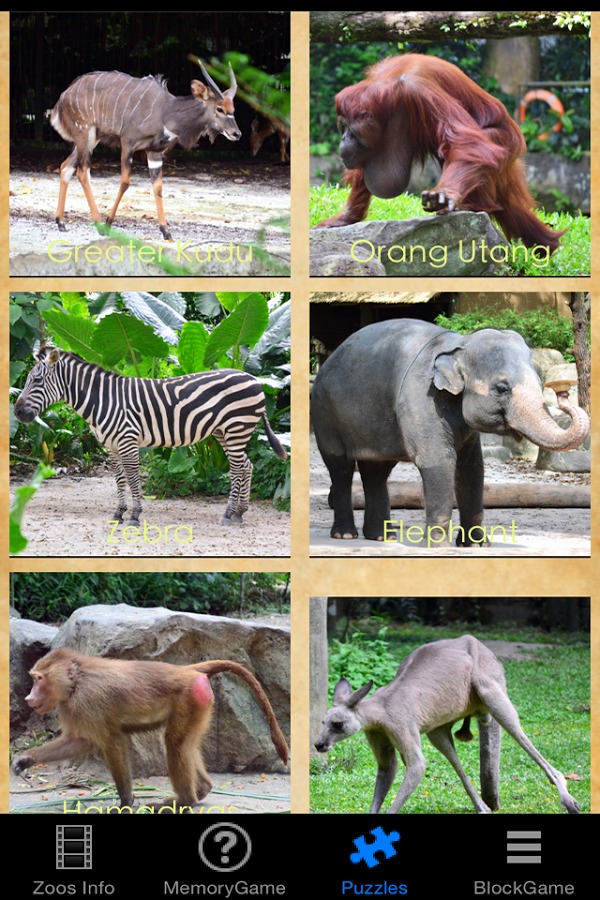 Wonderful Zoo Rescue截图3