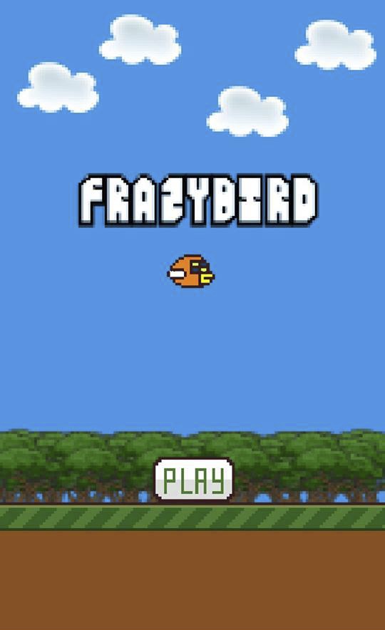 Frazy Bird截图5