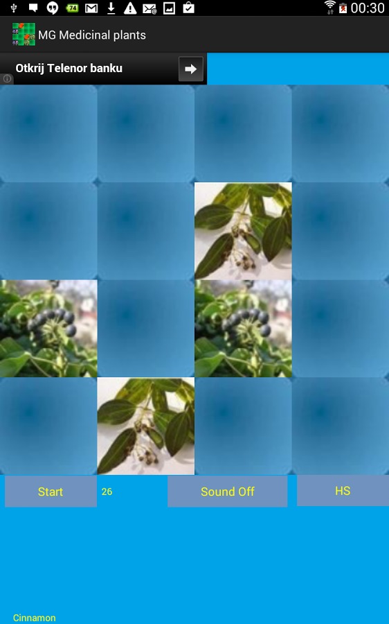 Memory game - Medicinal plants截图3