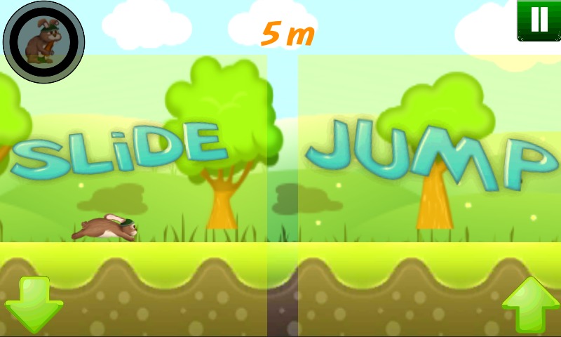 Bunny Run 2D截图1